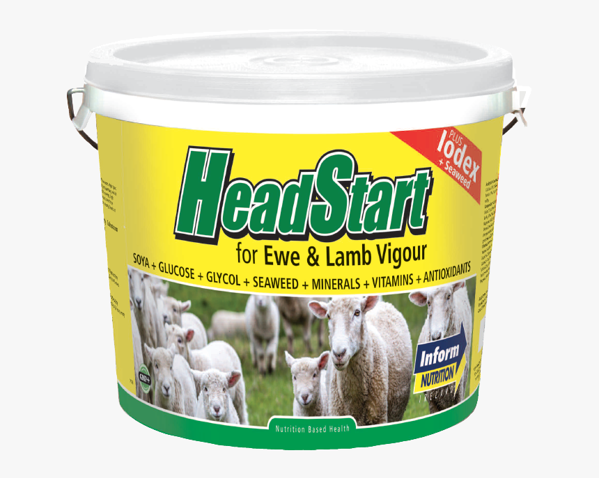 Headstartsheepbucket - Goat - Sheep Vitamins And Minerals, HD Png Download, Free Download