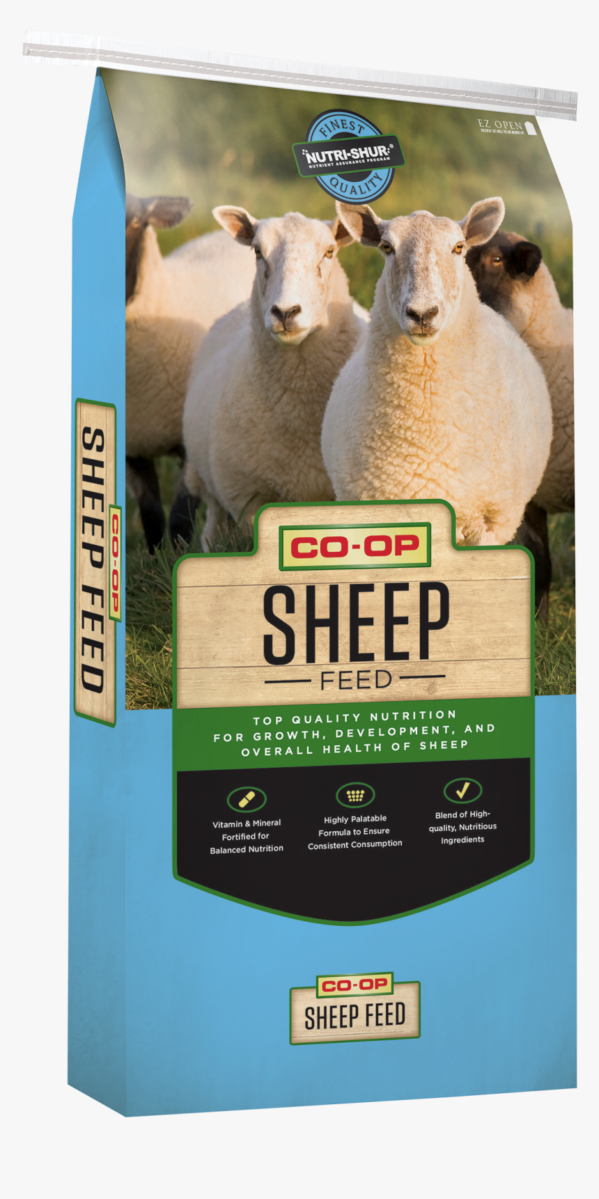 Sheep, HD Png Download, Free Download