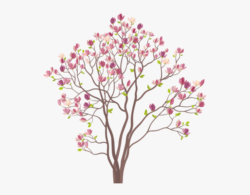 Transparent Arvore Png - Magnolia Tree Illustration, Png Download, Free Download