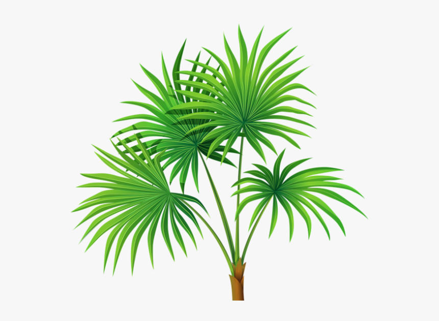 Plant Clipart Transparent Background, HD Png Download, Free Download