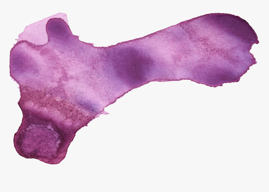 Transparent Purple Paint Stroke Png - Watercolor Paint, Png Download, Free Download