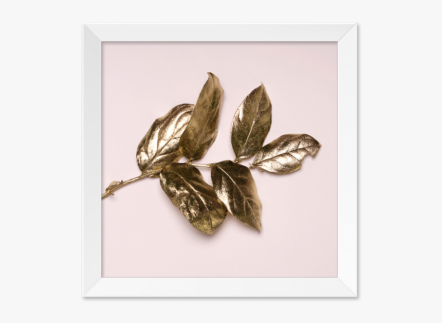 Gold Leaf Png, Transparent Png, Free Download