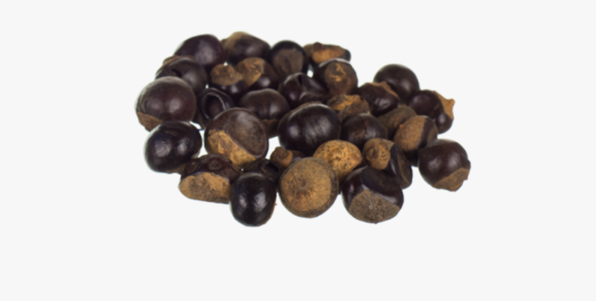 Guarana, HD Png Download, Free Download