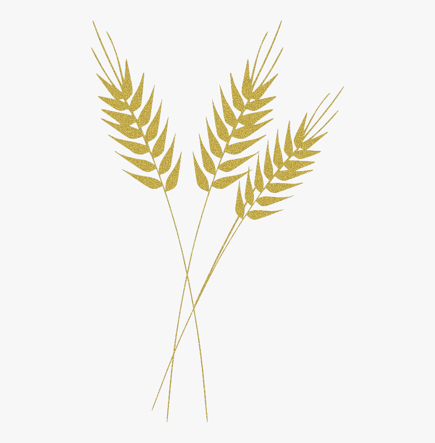 Ramo De Trigo - Wheat Black And White Clipart, HD Png Download, Free Download