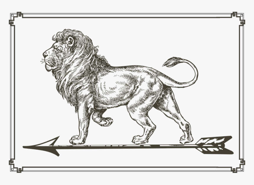 Lion, Arrow, Standing, Picture, Frame - Lion Drawing Png, Transparent Png, Free Download