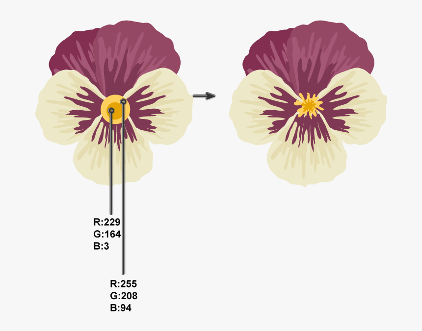 Pansy Pistil, HD Png Download, Free Download