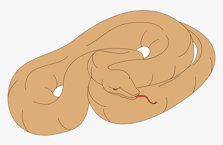 Snake Sleeping Clipart, HD Png Download, Free Download