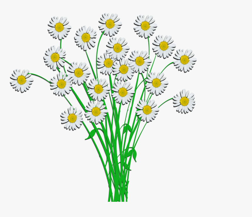 Ramo, Margarita, Flor, Pétalos, Para Usted, Ramos - Ramalhete De Flores Desenho, HD Png Download, Free Download