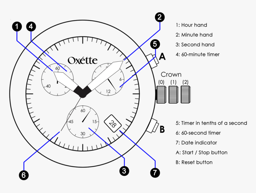 Oxette Watch - Draw Clock Game, HD Png Download, Free Download