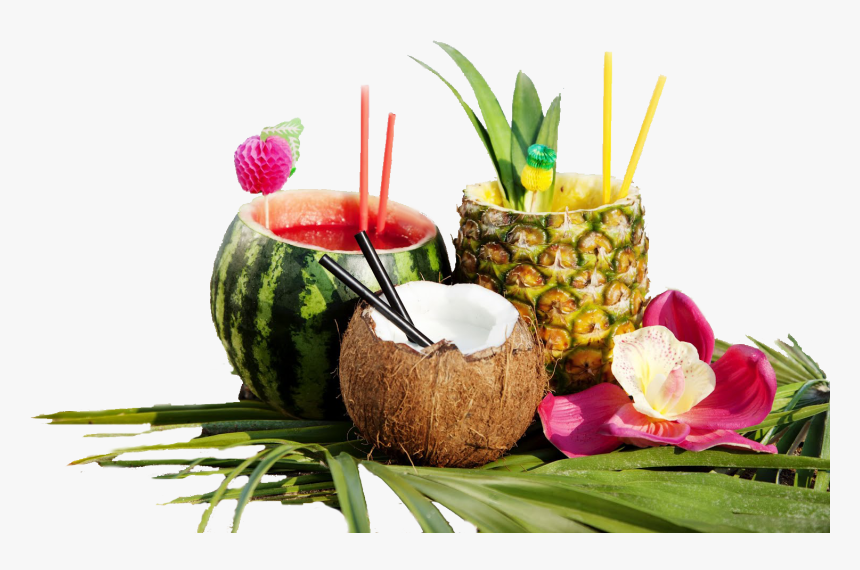 Tropical Fruit Drinks , Png Download - Tropical Drinks Coconut, Transparent Png, Free Download