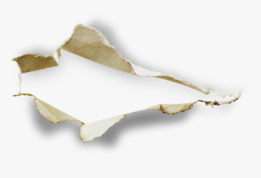 #paper #hole #tearing #tear #burst #punch #rip #rippleeffect - Paper Tear Png Picsart, Transparent Png, Free Download