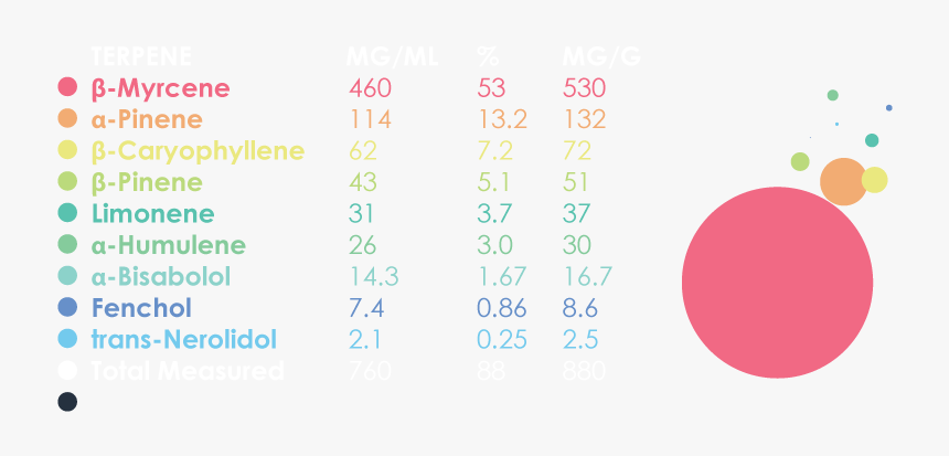 Charlottes Web Cbd Oil Terpene Profile - Circle, HD Png Download, Free Download