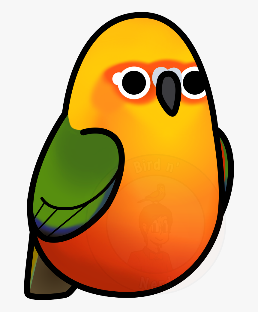 Budgie Drawing Conure Transparent Png Clipart Free - Jandaya Parakeet, Png Download, Free Download