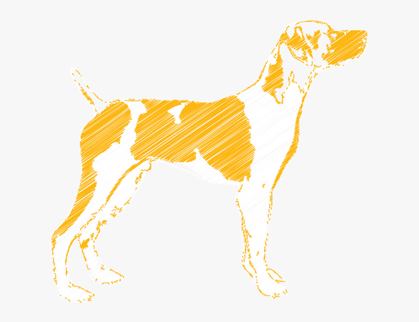 Companion Dog, HD Png Download, Free Download