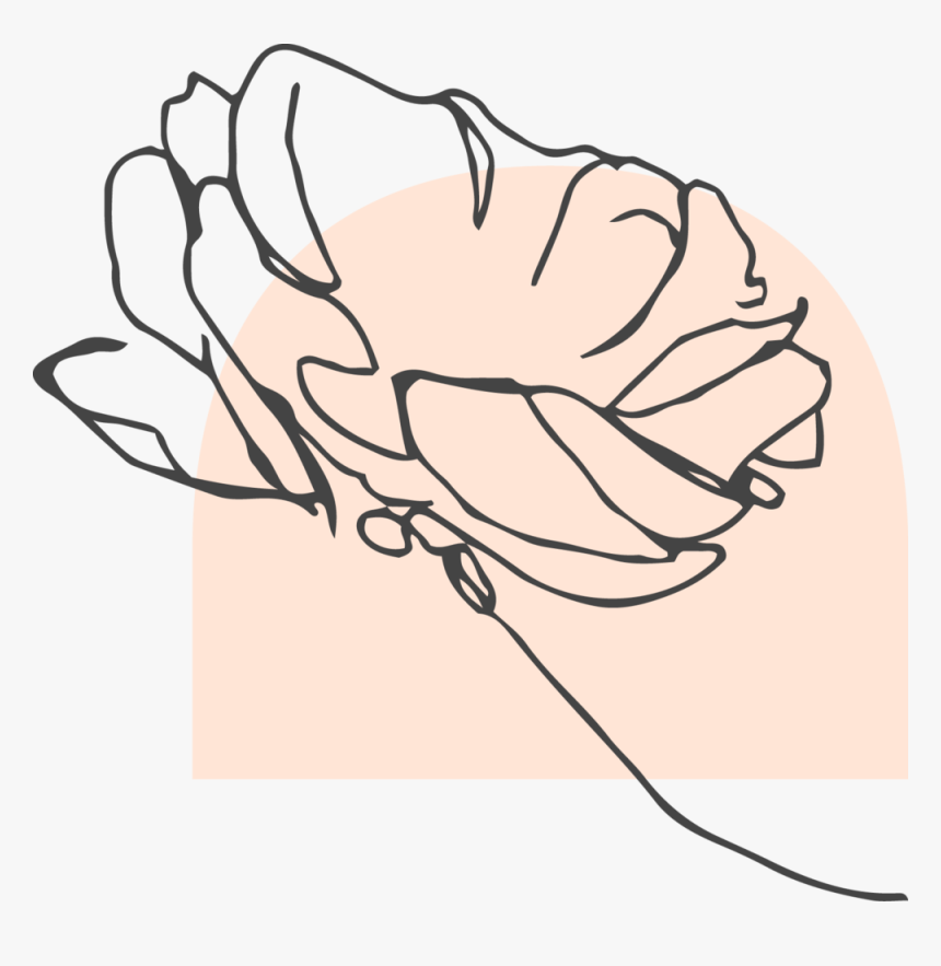 Floral Icon - Illustration, HD Png Download, Free Download
