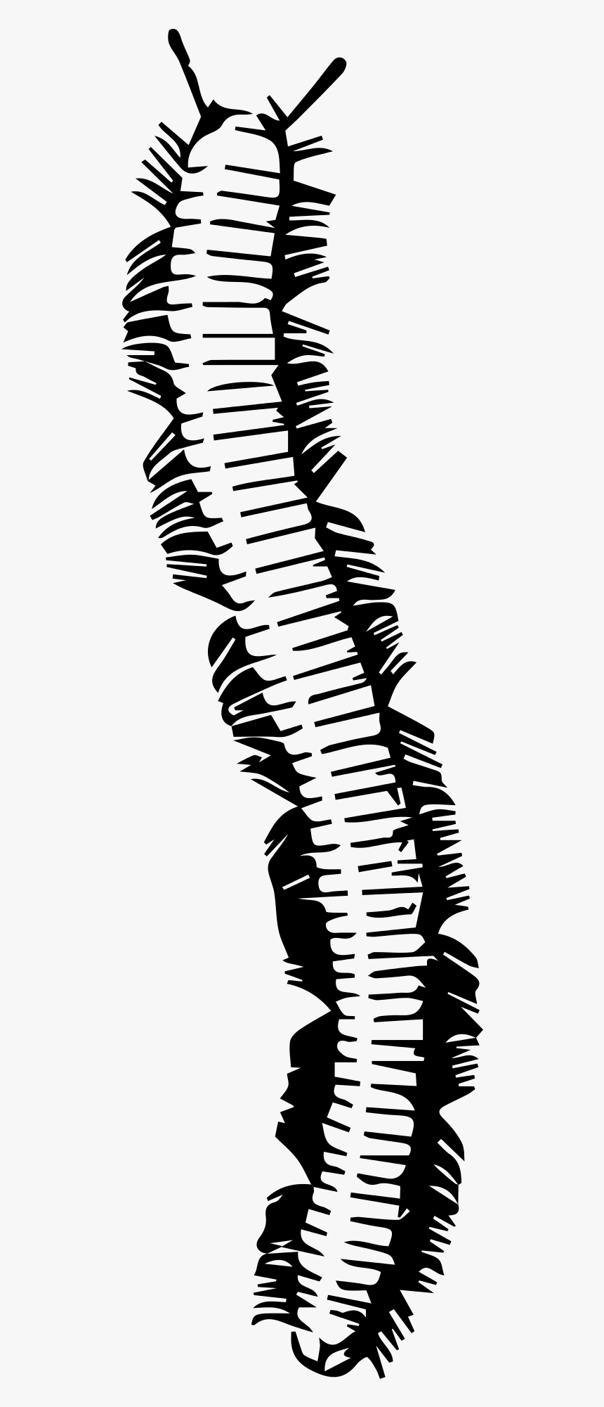 Clip Art, HD Png Download, Free Download