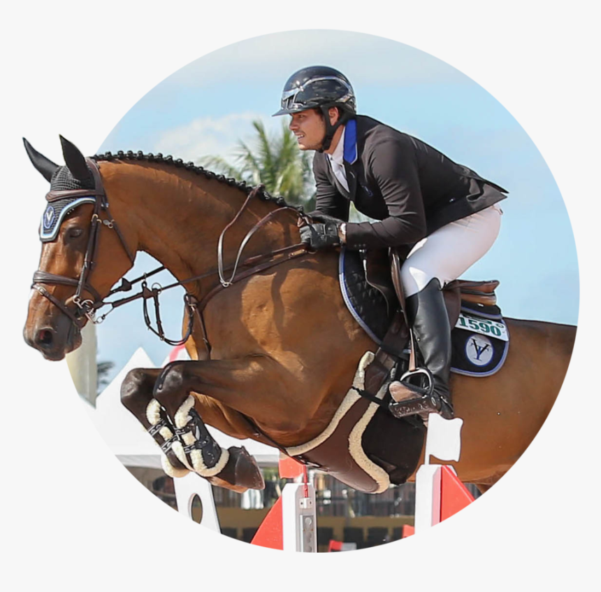 Teddy Vlock Testimonial - Equitation, HD Png Download, Free Download