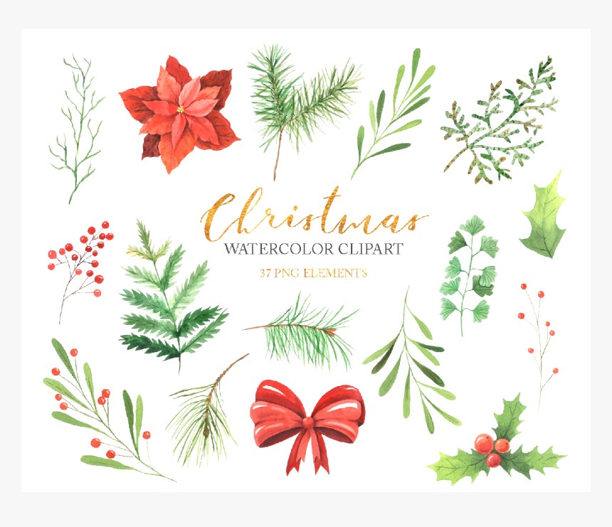 Watercolor Christmas Floral Clipart Example Image - Floral Design, HD Png Download, Free Download