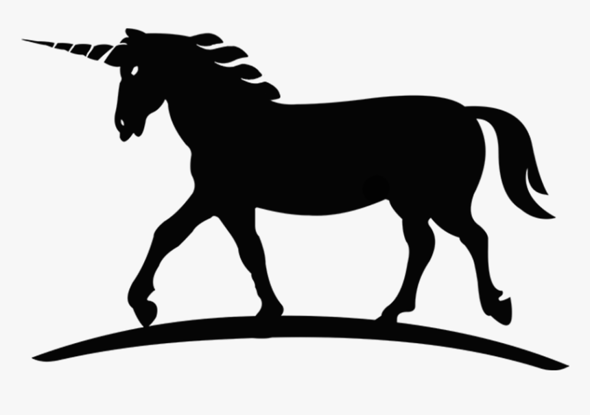 New Zealand - Horse Silhouette, HD Png Download, Free Download