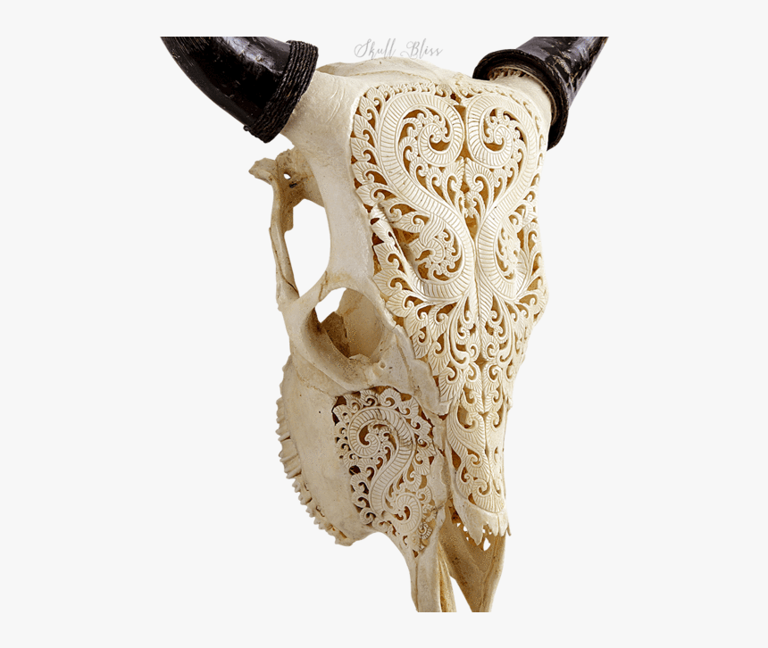 Carved Cow Skull - Carving, HD Png Download, Free Download