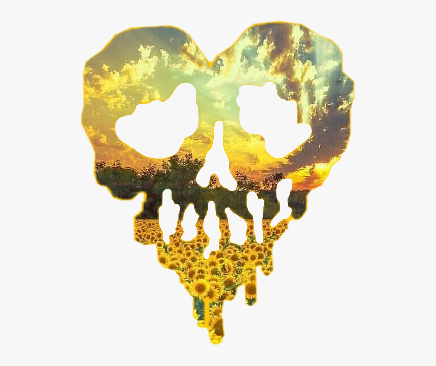 #skull #heart #skullheart #sunflower #sunset #sunflowerskull - Skull, HD Png Download, Free Download