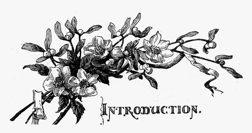 Intro Header Cropped, Pg 3 The Strand Magazine, Vol - Rosa Glauca, HD Png Download, Free Download