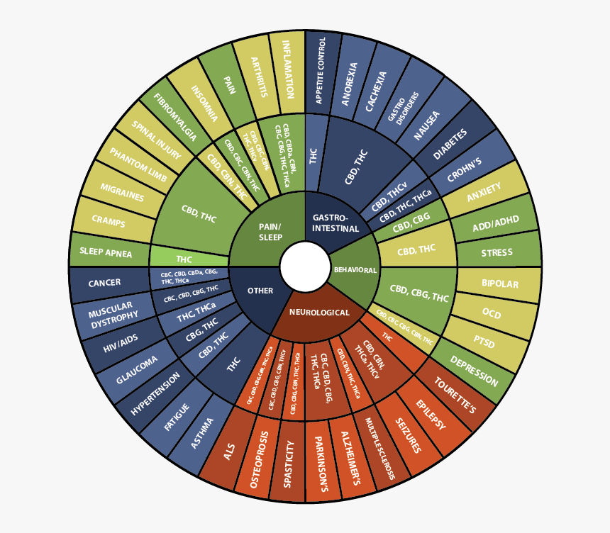 Benefits Of Each Cannabinoid, HD Png Download, Free Download