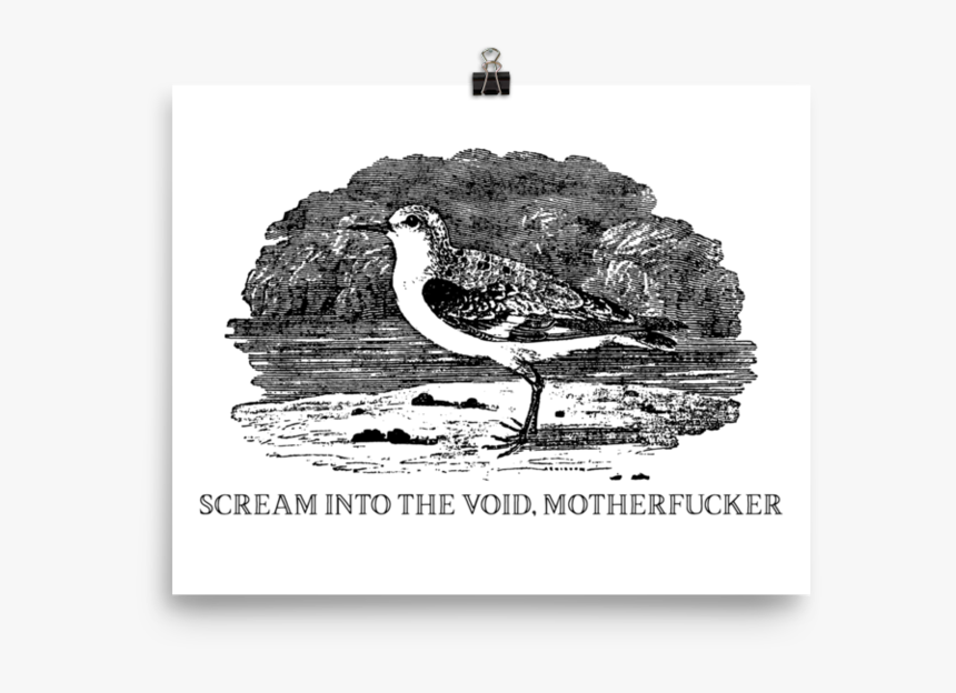 Scream Into The Void"
 Srcset="data - Scream Into The Void, HD Png Download, Free Download
