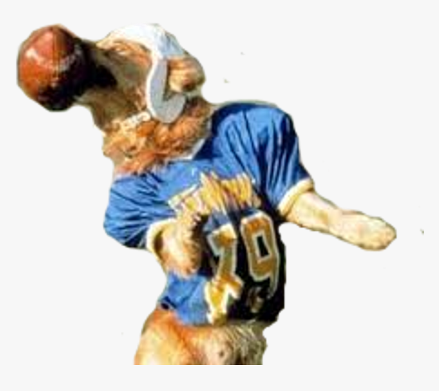 Air Bud Png, Transparent Png, Free Download