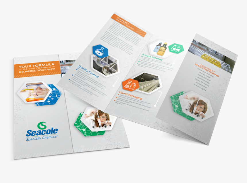 Seacole Gate Fold Brochure Mockup - Flyer, HD Png Download, Free Download