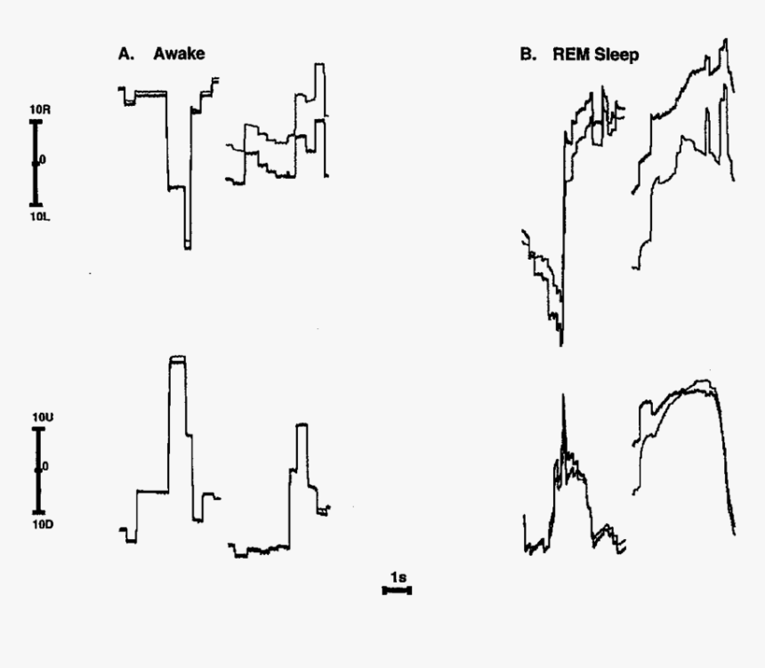 Diagram, HD Png Download, Free Download