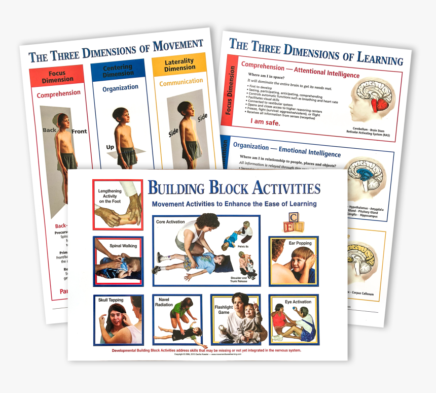 Building Block Activities Of Movement Based Learning, HD Png Download, Free Download