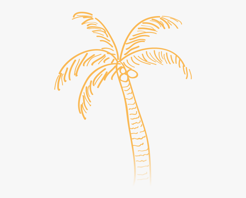 Palm Tree Doodle Transparent, HD Png Download, Free Download