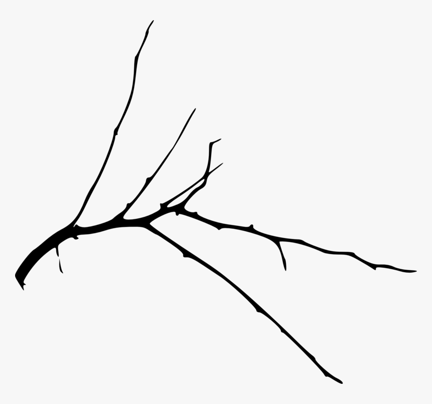 Simple Tree Branch - Ast Png, Transparent Png, Free Download