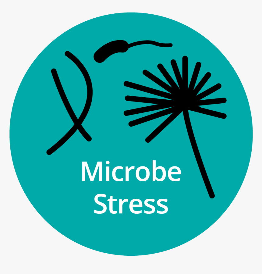 Sfs Icon - Microbe Stress - Microsoft Lumia, HD Png Download, Free Download