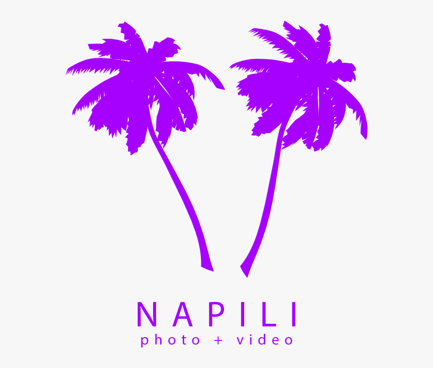 Vector Palm Trees Trans Purple Logo - Vector Palm Tree Png, Transparent Png, Free Download