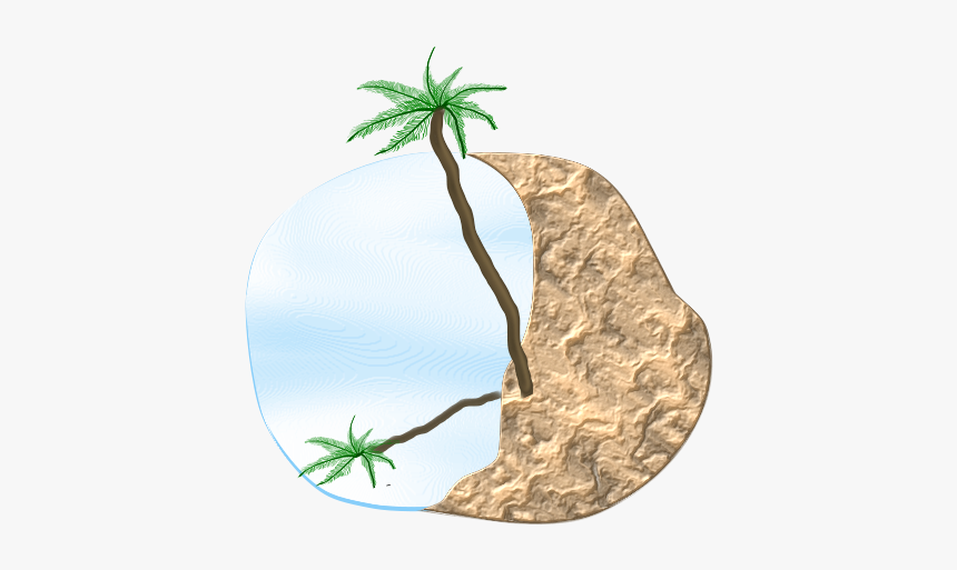 Palm Beach Svg Clip Arts - Illustration, HD Png Download, Free Download