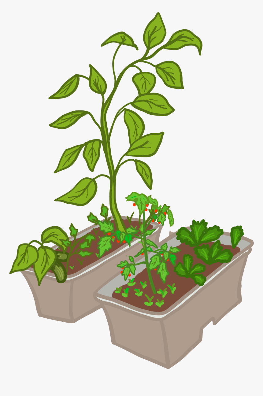 Compost Soil Compost Clipart, HD Png Download, Free Download