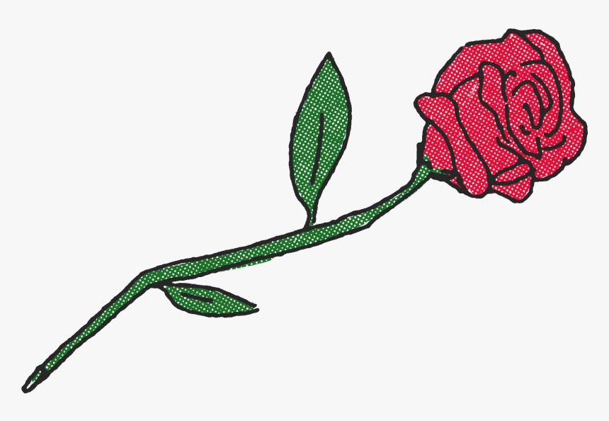 Reality Tv Casting Calls - Hybrid Tea Rose, HD Png Download, Free Download