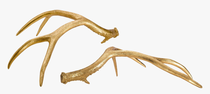 Gold Antlers, HD Png Download, Free Download