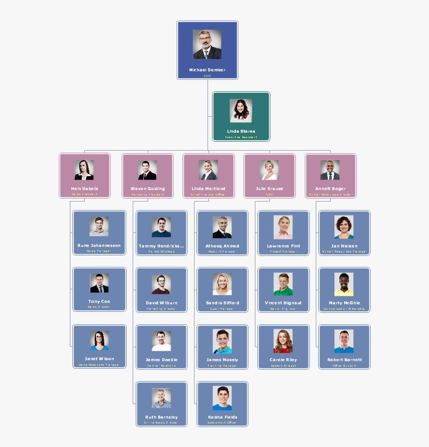 Sales Company Photo Org Chart - Sales Company Organizational Structure, HD Png Download, Free Download