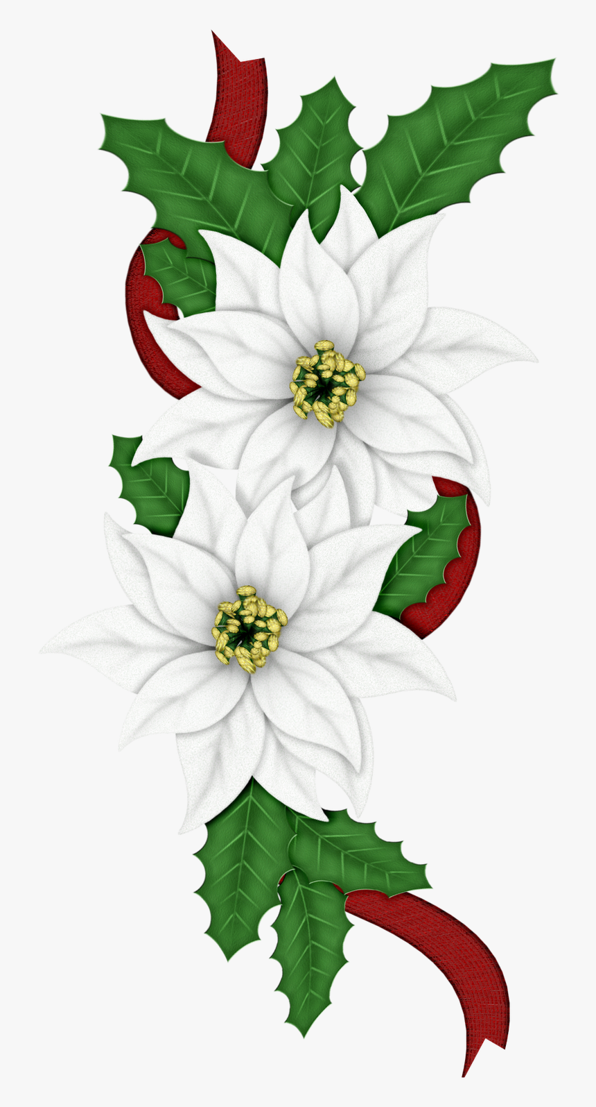 Clip Art Of Christmas Flowers Transparent Png , Png - Christmas Flowers Clip Art, Png Download, Free Download