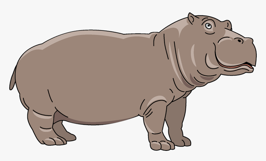 Hippopotamus, HD Png Download, Free Download