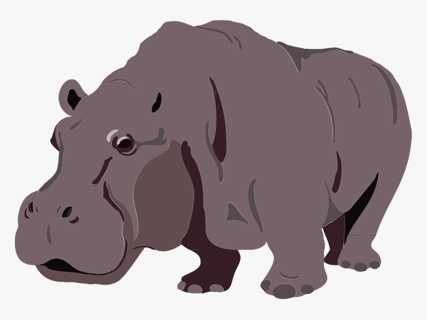 Hippopotamus, HD Png Download, Free Download