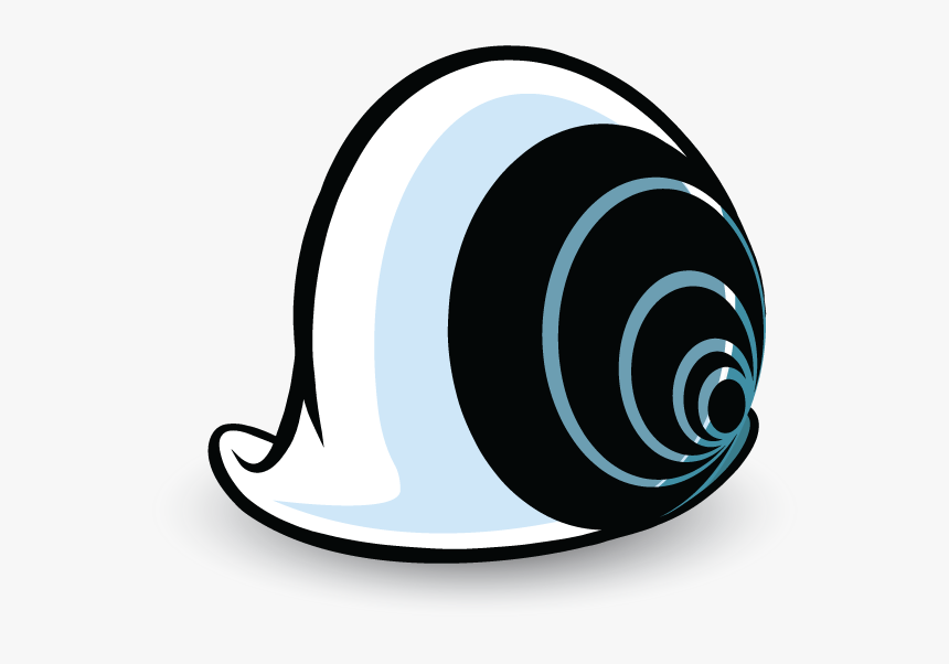 Shell Copy - Spiral, HD Png Download, Free Download