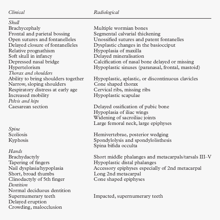 Cleidocranial Dysplasia Dental Features, HD Png Download, Free Download