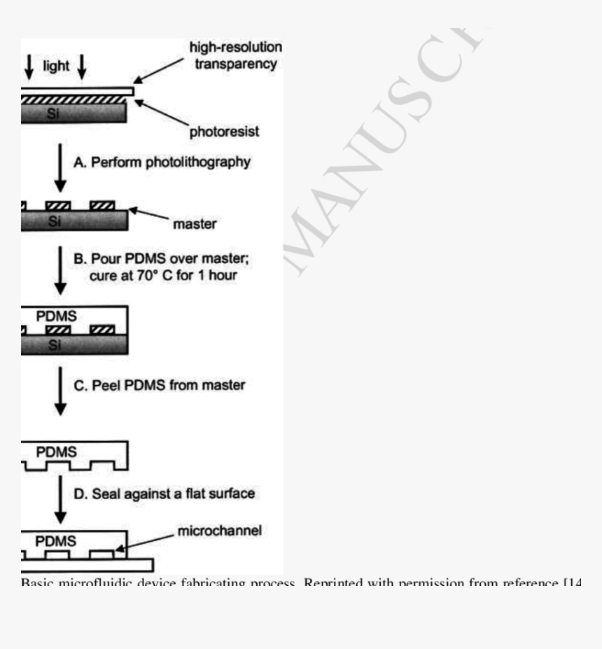 Diagram, HD Png Download, Free Download