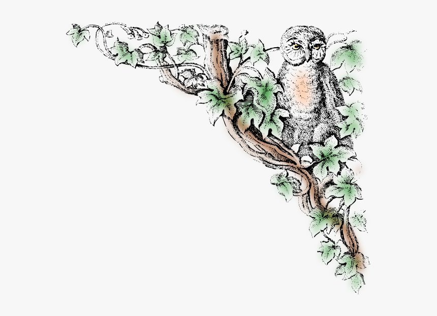 Clip Art Owls Public Domain, HD Png Download, Free Download