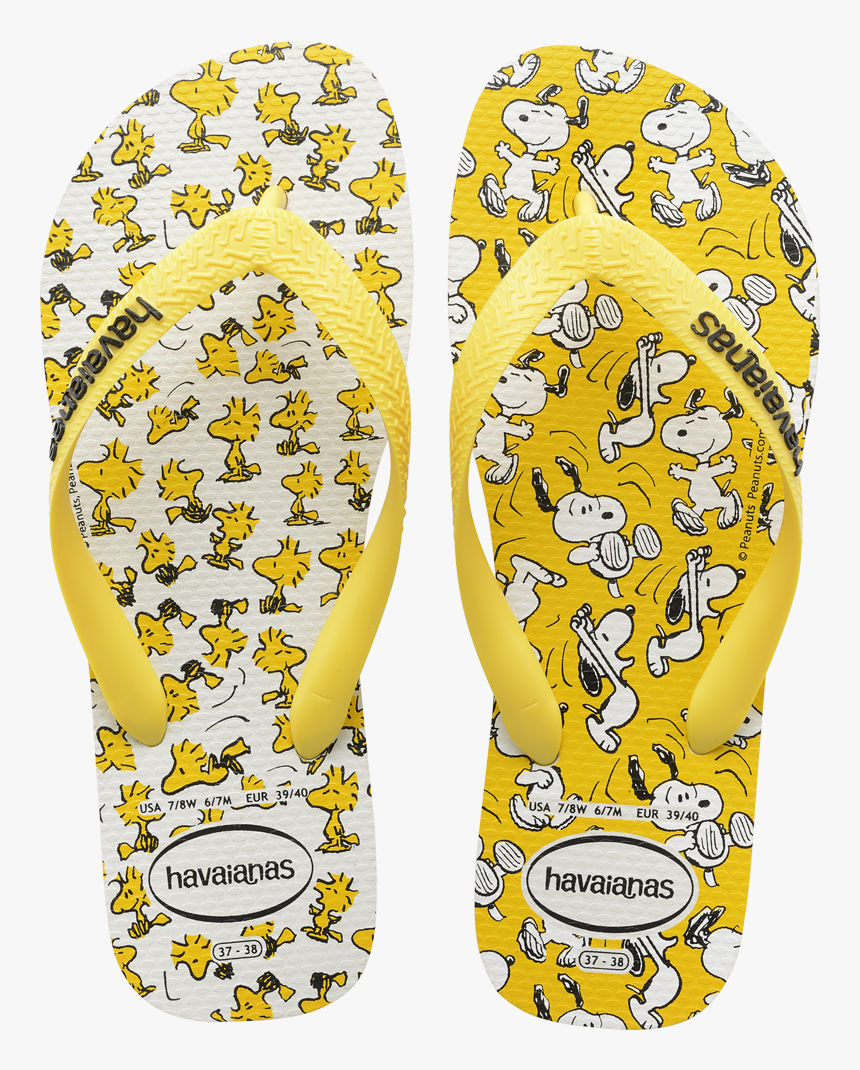 Womens Flip Flop Havaianas, HD Png Download, Free Download