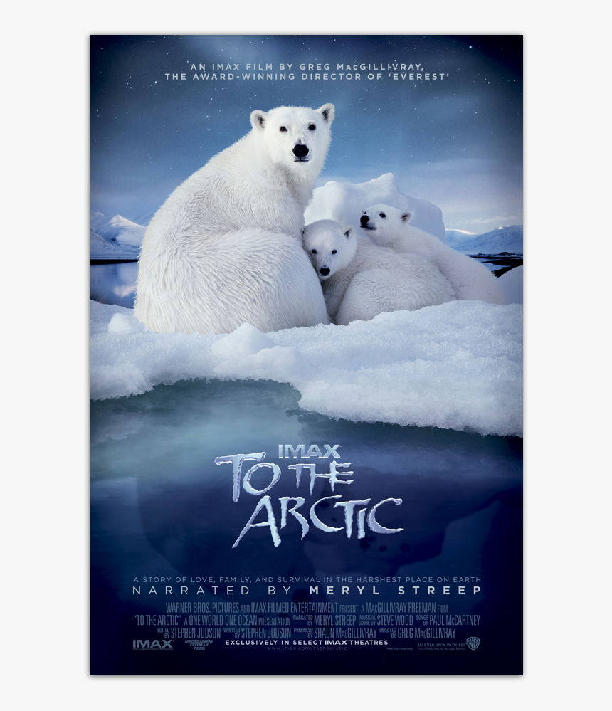 To The Arctic Poster, HD Png Download, Free Download